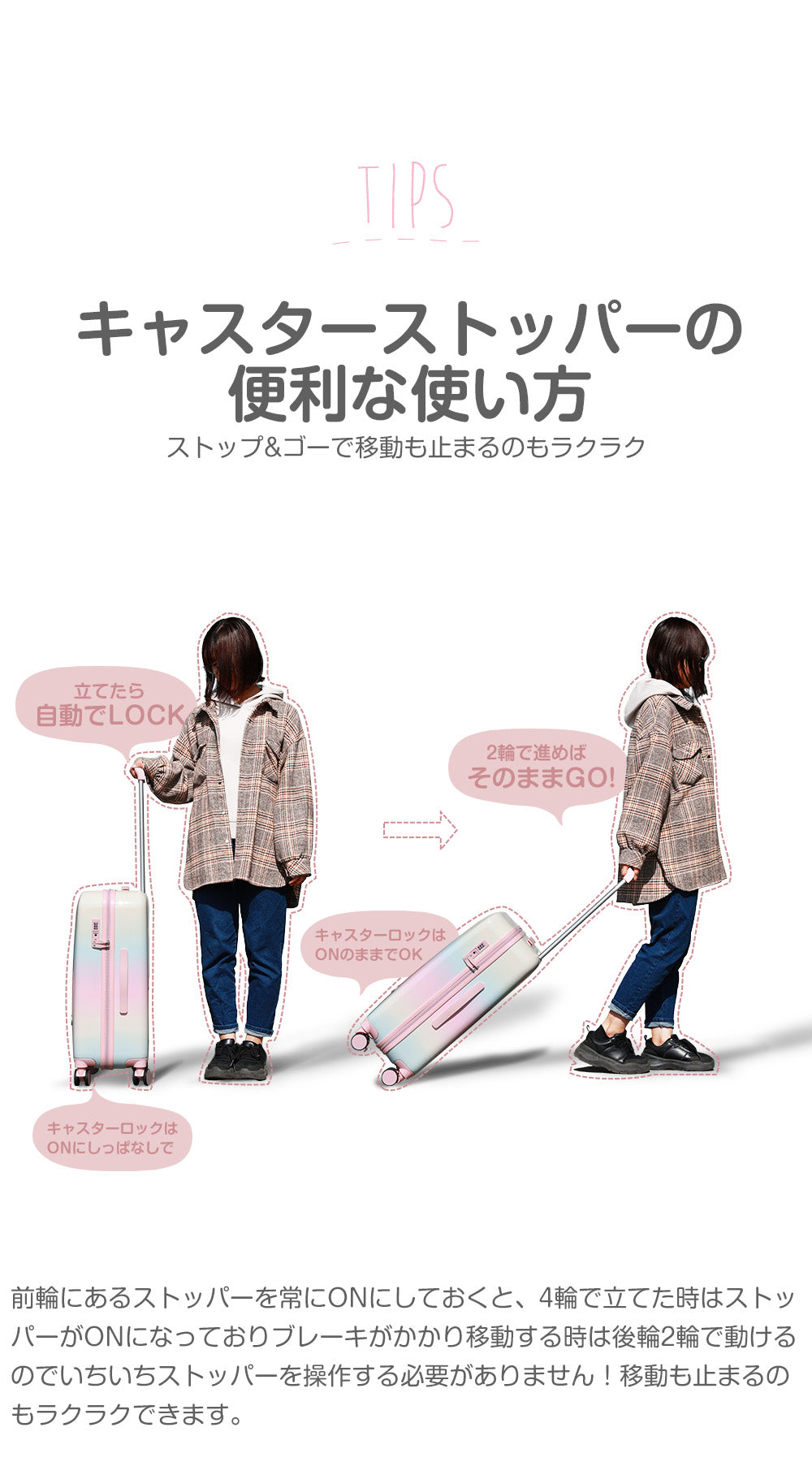 【在庫限り】ファスナーキャリー S・M・LM・L | 8068