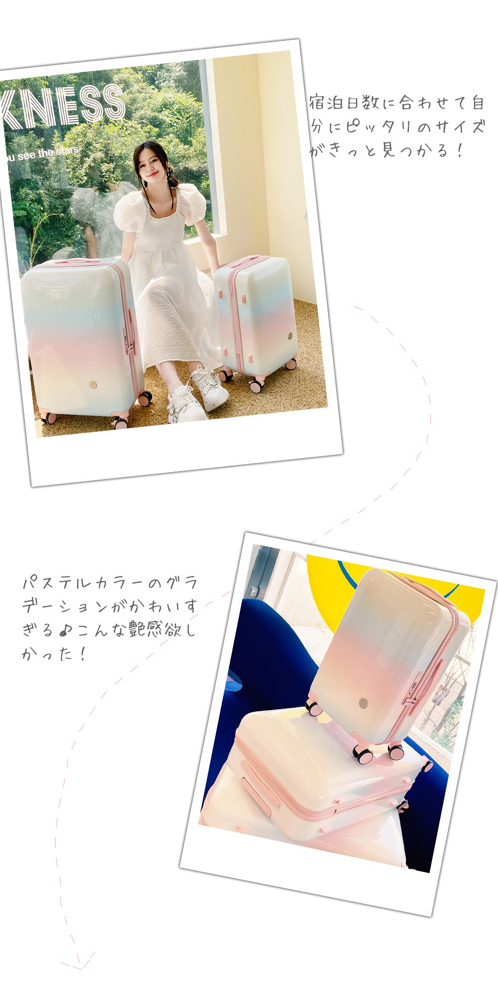 【在庫限り】ファスナーキャリー S・M・LM・L | 8068