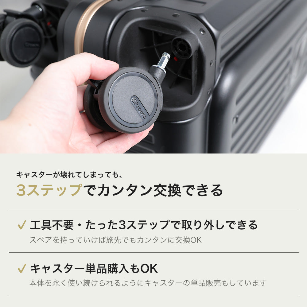 【予約販売】Proevo ReToRo Lサイズ(1週間前後対応) | 14003E