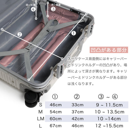 Proevo FRAMO Lサイズ(1週間以上対応) | 12004E