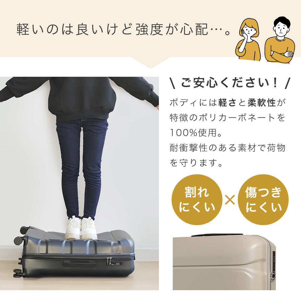Proevo LitefreX Lサイズ(1週間前後対応) | 13003S-W